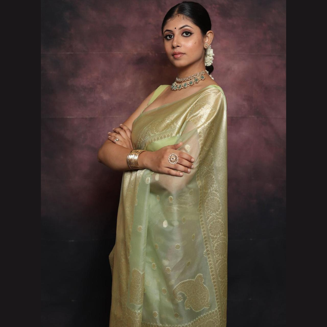 Kanchipuram Organza jacquard Soft Saree With Raw Silk organza running Blouse