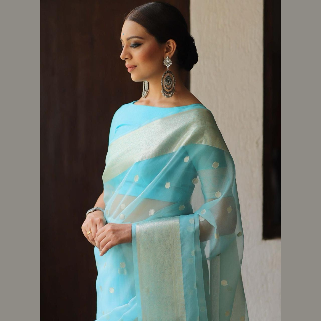 Kanchipuram Organza jacquard Golden Lining Saree With Raw Silk organza running Blouse - Turquoise