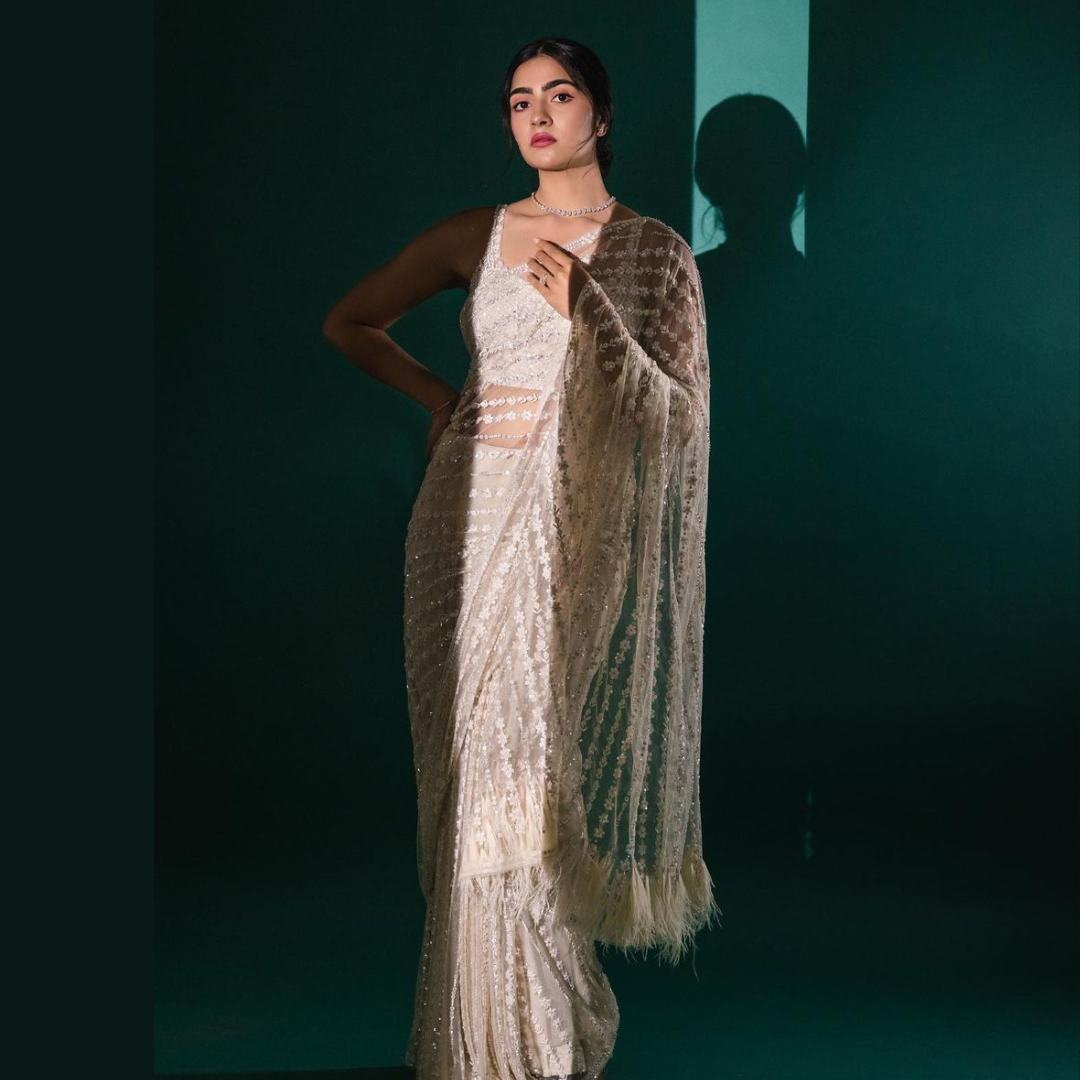 White net Georgette saree embellished with Sequin