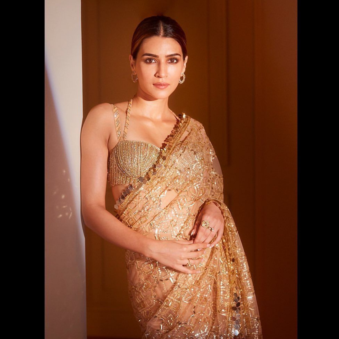 Golden Net saree embellished with Sequin