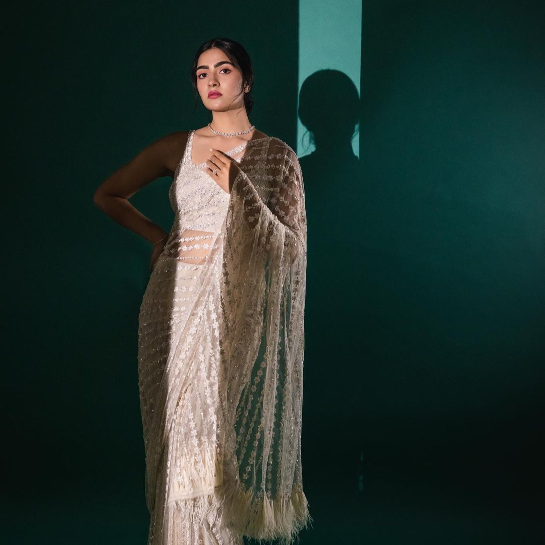 White net Georgette saree embellished with Sequin